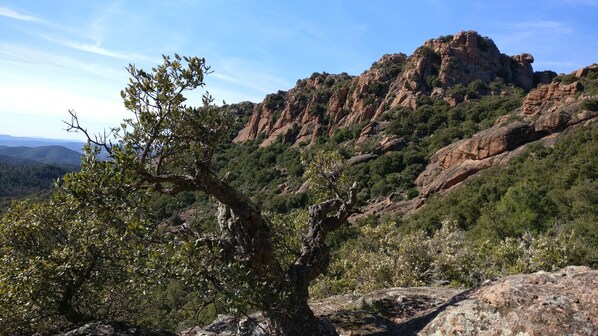 A rugged mountain landscape with rocky outcrops and sparse vegetation.