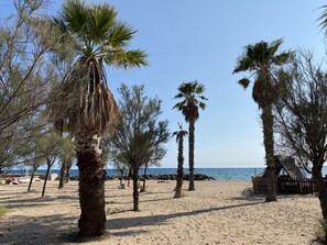 A beach with palm trees, a wooden structure, and the sea in the background.