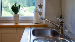 Eine Küche mit Spüle aus Edelstahl, einem Fenster mit Blick auf Grünflächen, einer Topfpflanze und einem Papierhandtuchhalter mit Stern- und Herzdekor.
