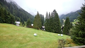 A rural landscape with a grassy field, hay bales, and houses surrounded by dense forest and mountains. - 5304 Diane "304" (Gargellen)