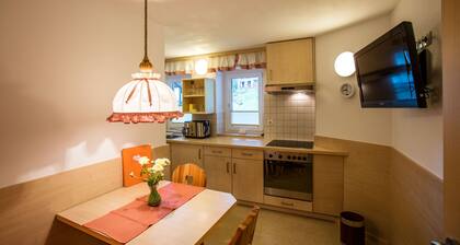 5306 Doris im Alpenhaus Montafon