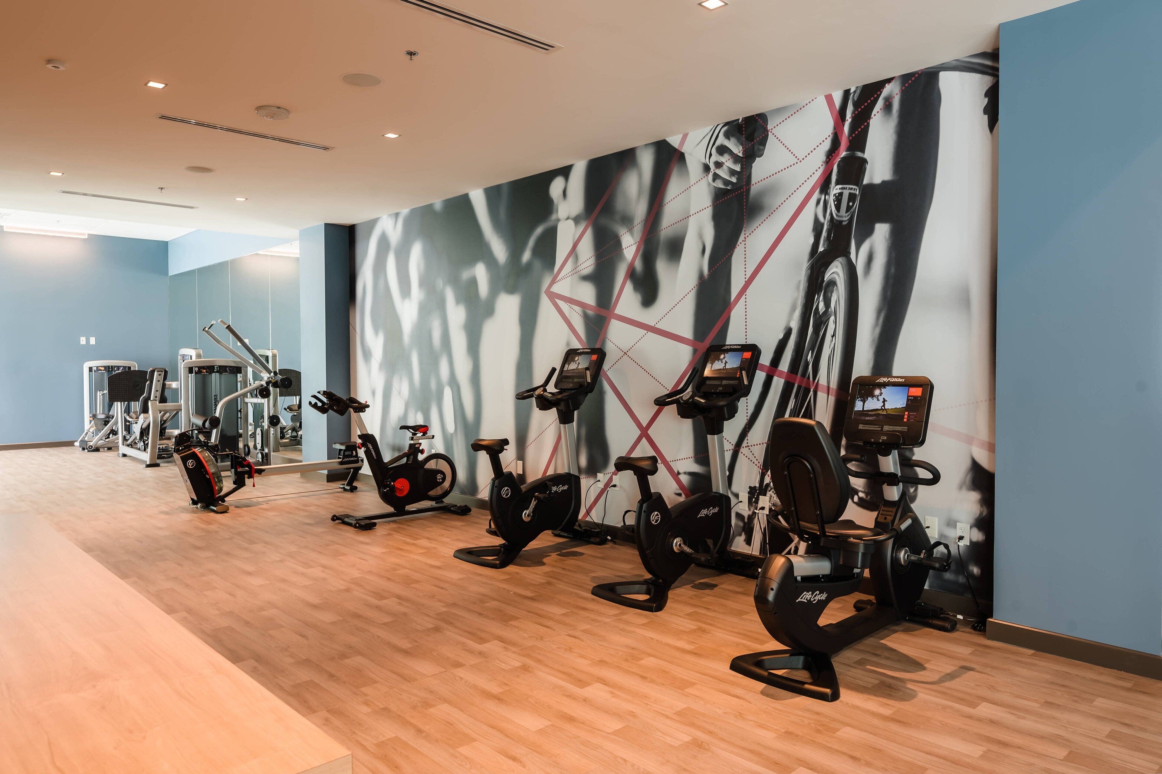 A gym with stationary bikes, weight machines, and a large wall mural.