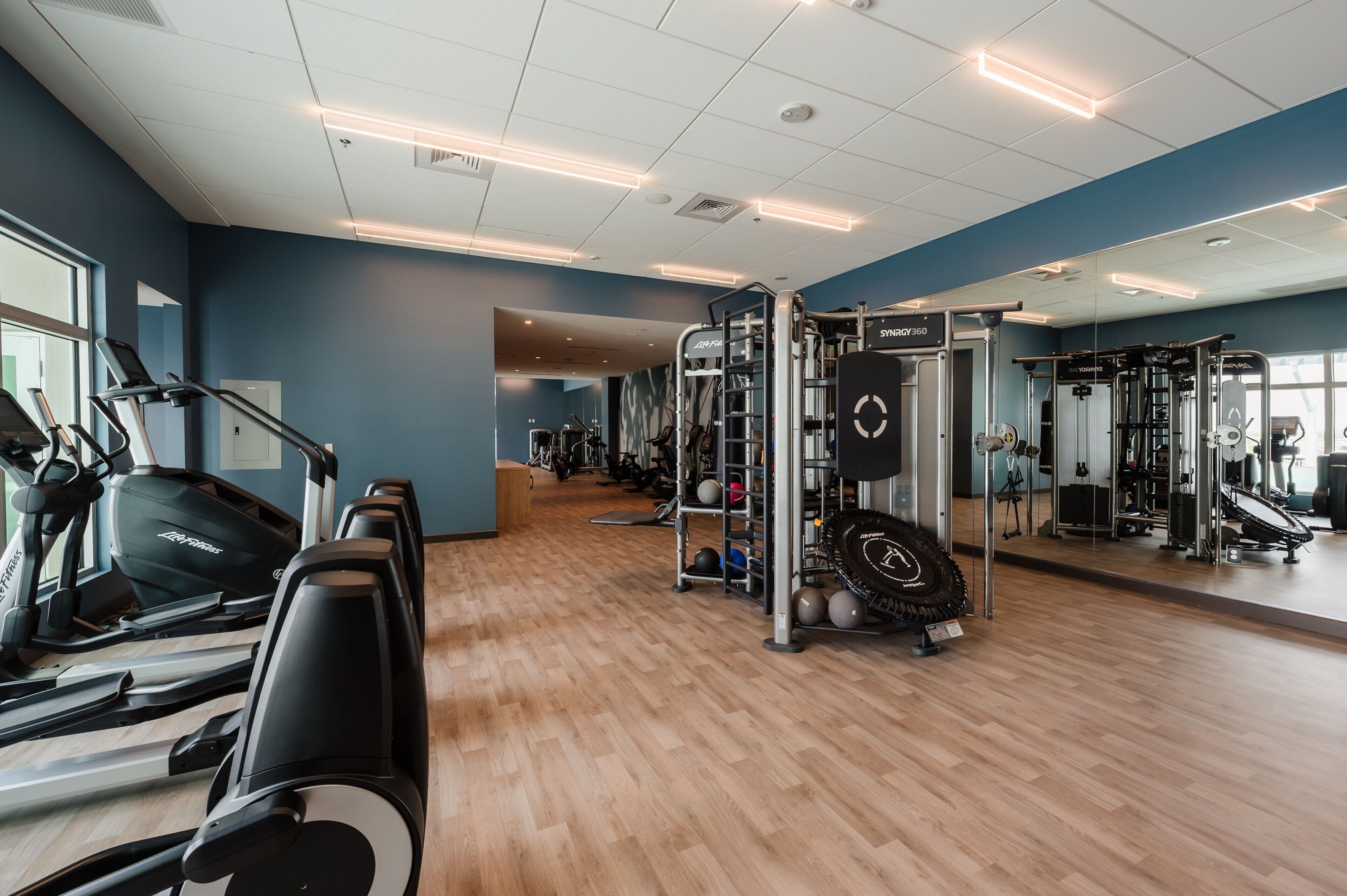 A gym with treadmills, a squat rack, and free weights.