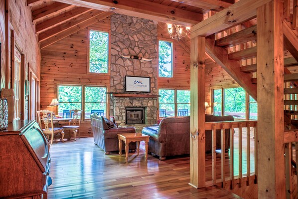 TV, fireplace, books