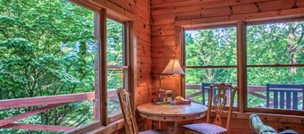 Hot Tub, Pool Table & Fireplace + Biltmore Pass | Pet-Friendly Mountain Stay