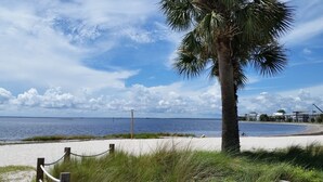 A beach with a palm tree, sandy shore, and a clear view of the ocean. - Big Canal-front house, kayaks, canoes, game room, fish right from the dock. (Crawfordville)