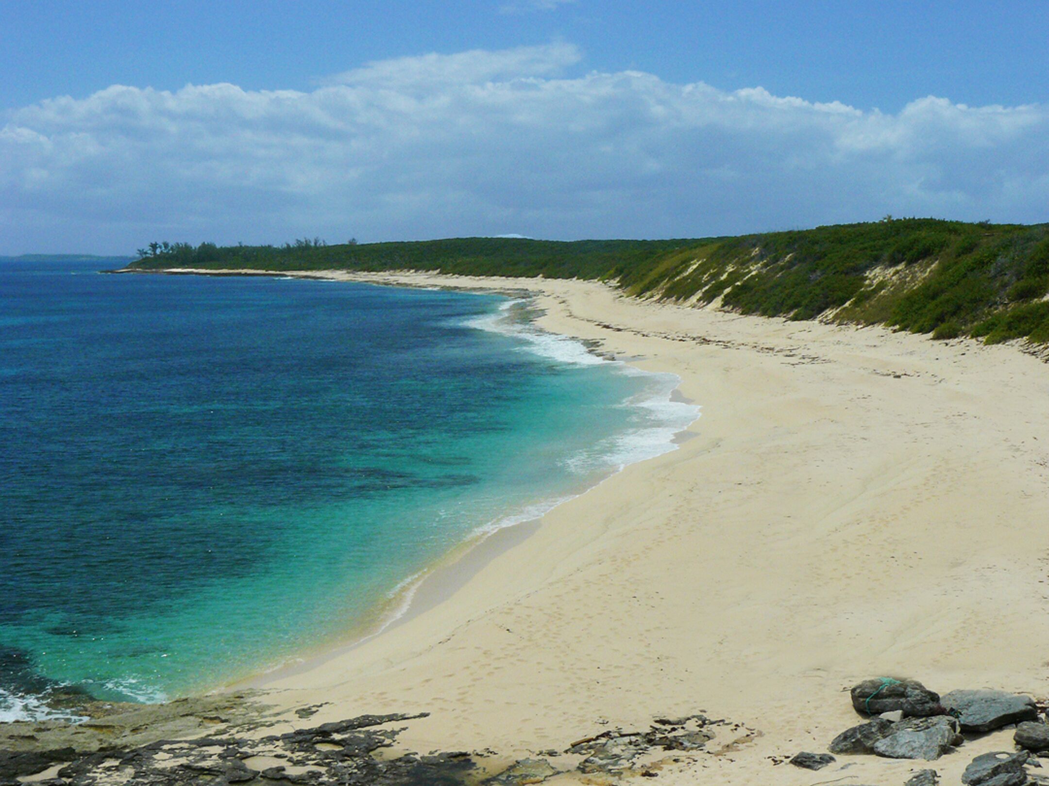 A beach with clear turquoise water, sandy shore, and green vegetation.