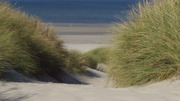 A sandy beach with dunes and the ocean in the background.