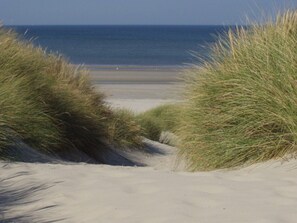 Ein Sandstrand mit Dünen und dem Meer im Hintergrund.