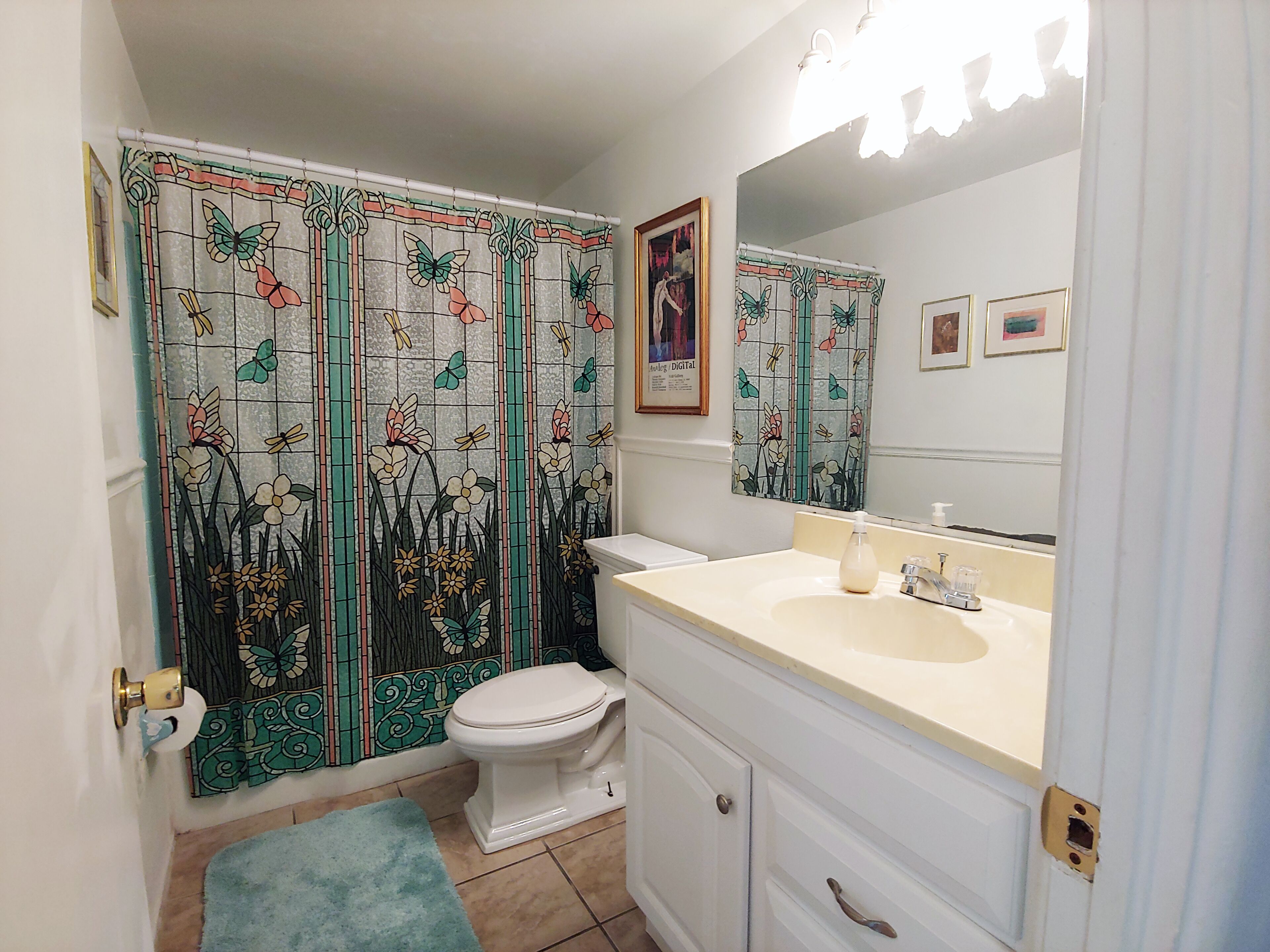 Bañera con ducha, secador de pelo, toallas, shampoo