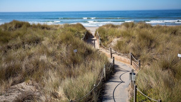 Een pad dat naar een strand leidt, met een houten omheining en borden, omgeven door hoog gras.
