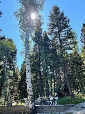 Property grounds - Moose Meadows - 23 Miles to Yellowstone ~ Wifi ~ Views (Island Park)