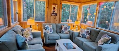 TV connectée, cheminée, lecteur de DVD, livres