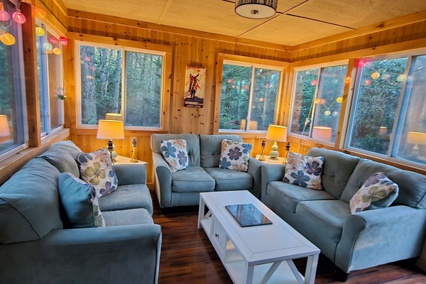 Smart TV, fireplace, DVD player, books