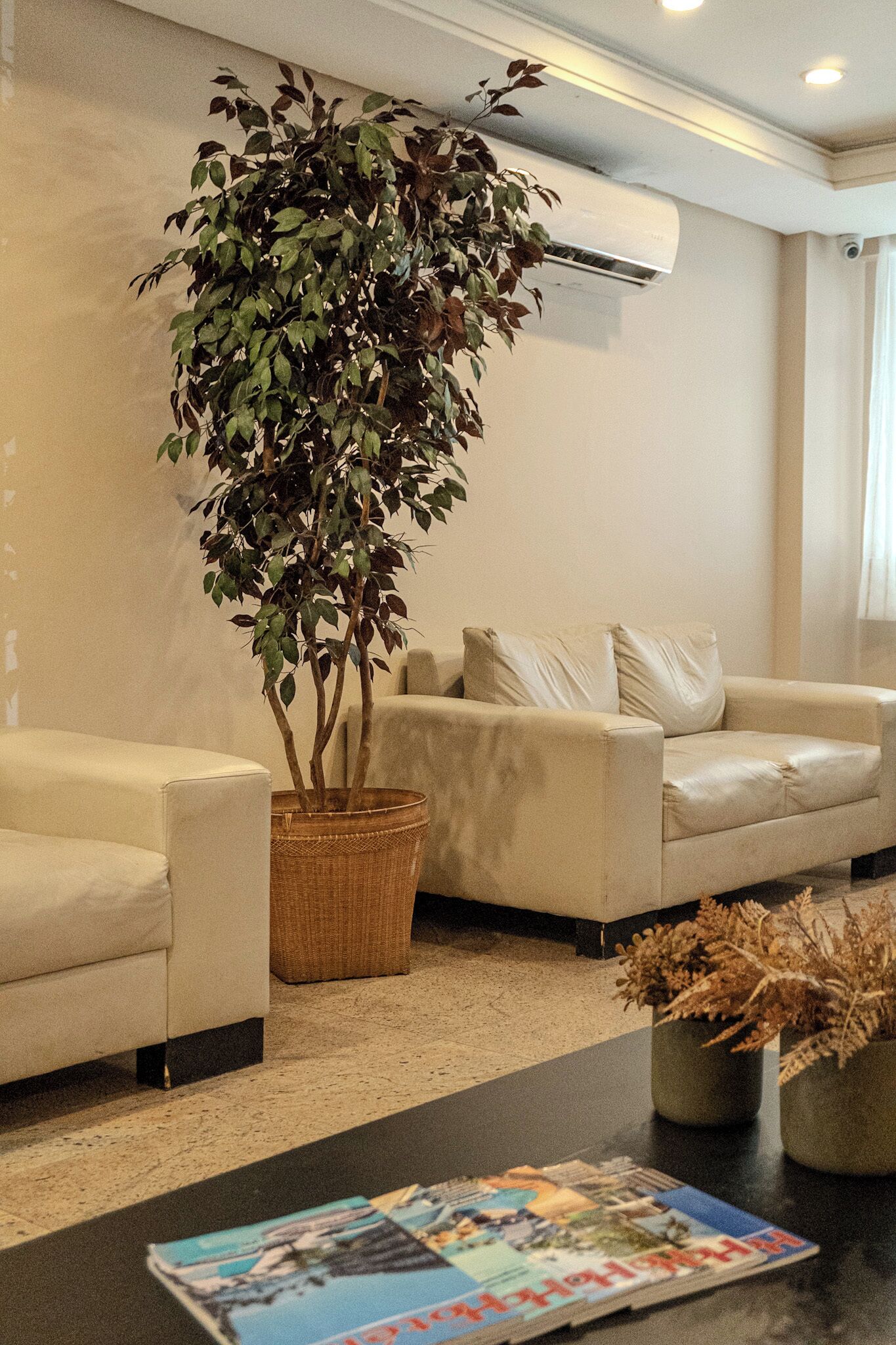 A reception area with a sofa, a potted plant, and a magazine on a table.