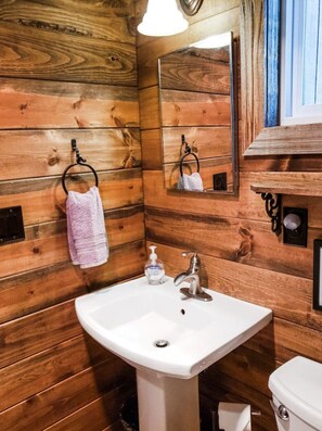 Regadera tipo lluvia y secadora de cabello 