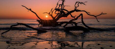 Beach nearby, beach towels