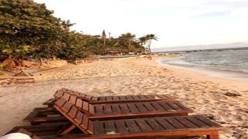 A beach with wooden lounge chairs and a palm tree.