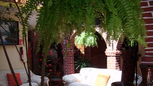 Un rincón interior acogedor con un sofá, una mesa de centro y plantas en macetas.