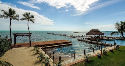 The Caribbean Resort Canary Island Palm South