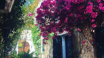 Details aan de buitenkant