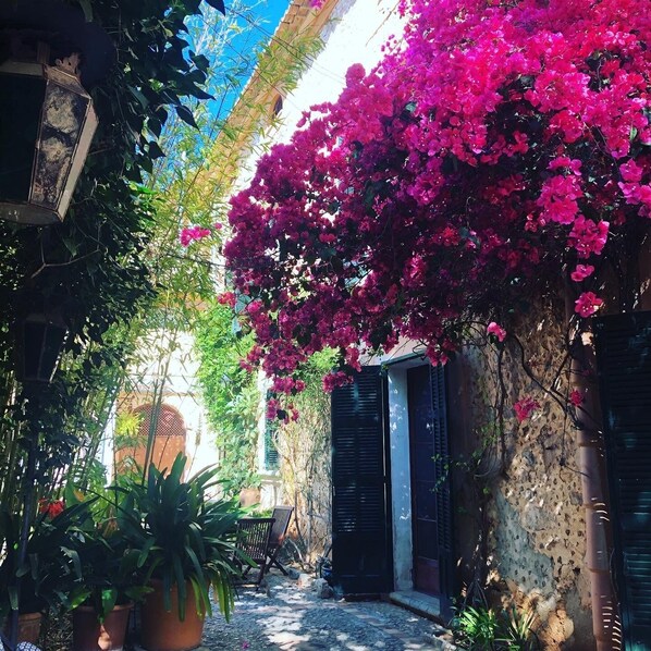 Exterior detail - Can Fressa * Amazing Villa sport & family friendly for 20 people (Alaro)