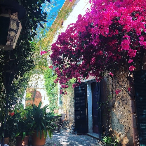 Can Fressa * Amazing Villa sport & family friendly for 20 people