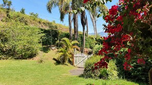 Área da propriedade