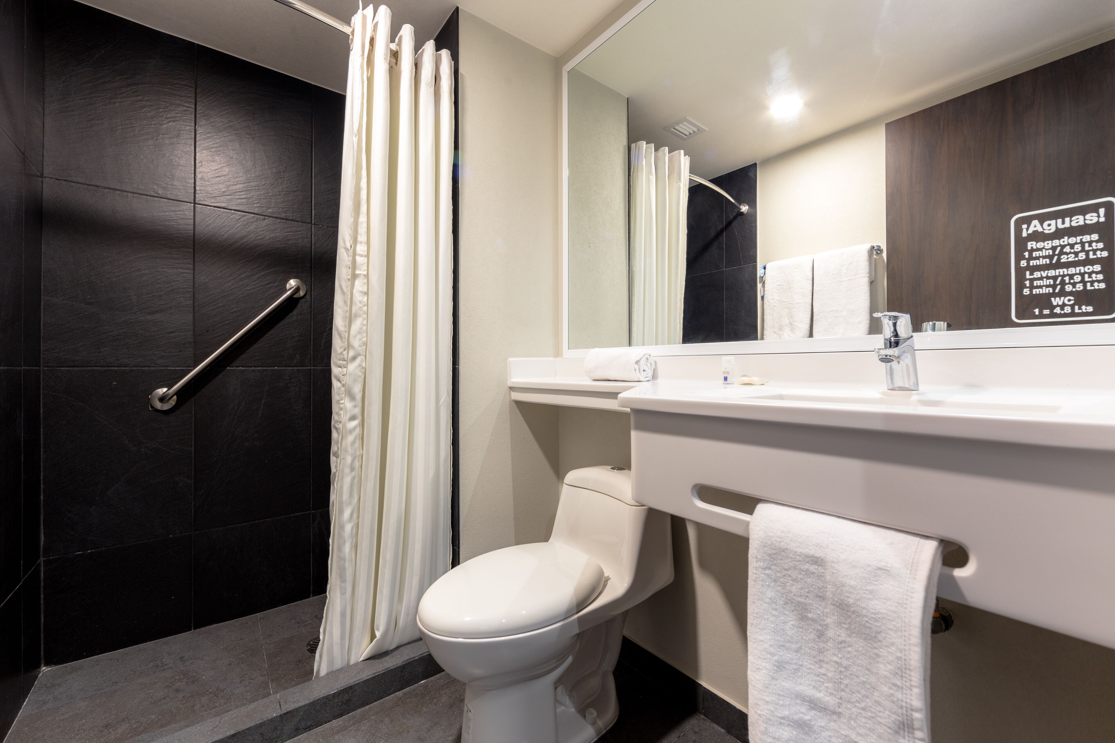 studio suite, 1 king bed with sofa bed, non smoking | bathroom | free toiletries, hair dryer, towels