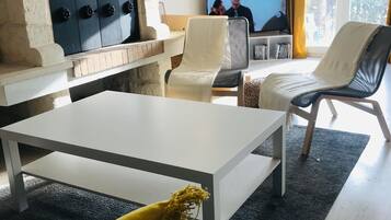 Télévision, cheminée, jeux vidéo, lecteur de DVD