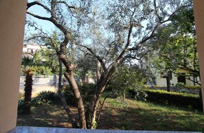 Un patio arbolado con un muro de piedra, una palmera y un edificio al fondo.
