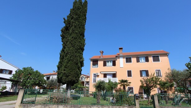 A multi-story building with a red-tiled roof, a green fence, and a tall tree in the foreground. - ROSANNA Studio with Terrace (Rovinj)