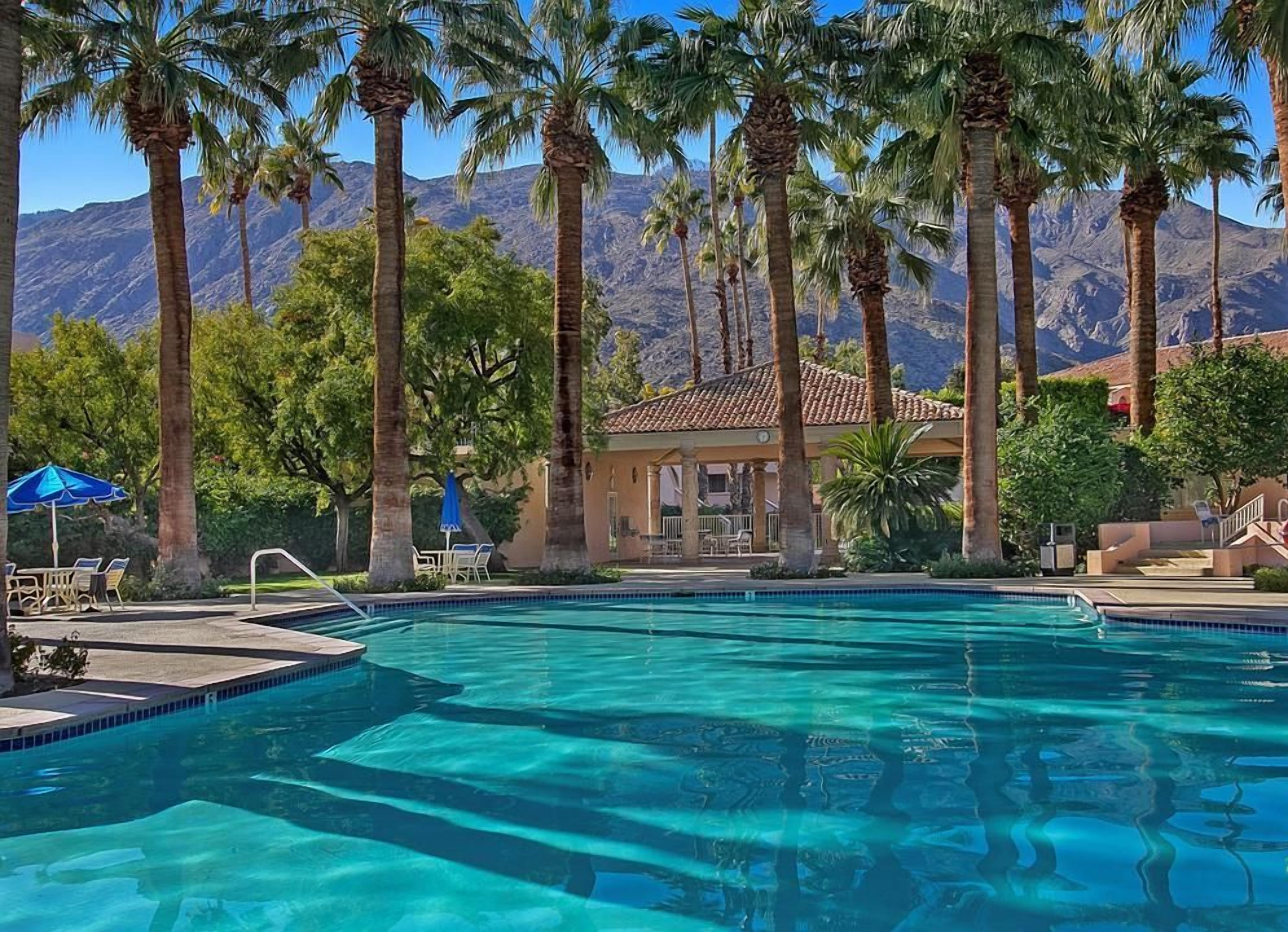 A swimming pool surrounded by palm trees and a mountain backdrop.