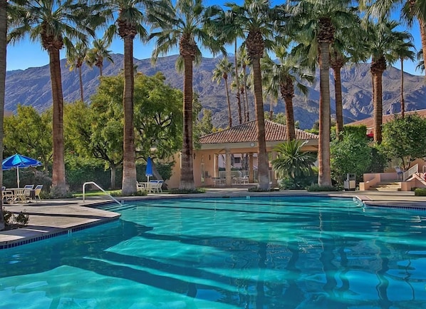 Ein Pool, umgeben von Palmen und mit einem Berg im Hintergrund.