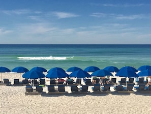Ein Strand mit blauen Sonnenschirmen und Liegestühlen, die zum Meer blicken.