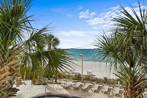 Blick auf einen Strand mit Palmen, einem Poolbereich und freiem Blick auf den Ozean.