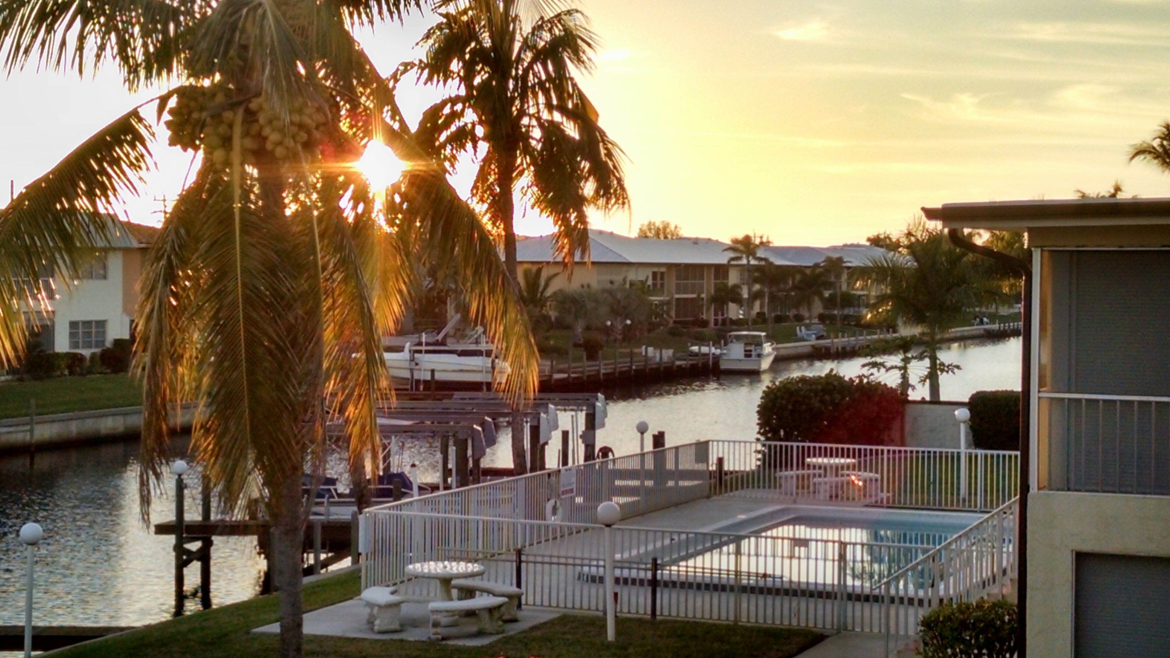 A waterfront property with a pool, palm trees, and a dock with boats.