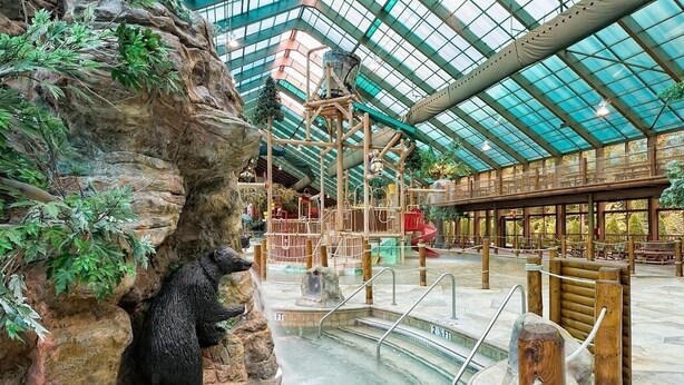 An indoor water park with a bear statue, a pool, and a glass ceiling. - 3bd/4ba on Acre/Indoor Heated Pool/ Theater/Hot Tub/Billiards/Wifi/FirePit/Hike (Cosby)