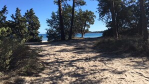 Een zandpad dat naar een strand leidt, met pijnbomen en een helderblauwe lucht.