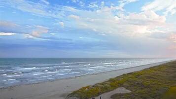 Plage à proximité, serviettes de plage