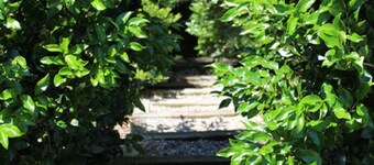 Green Lane Retreat