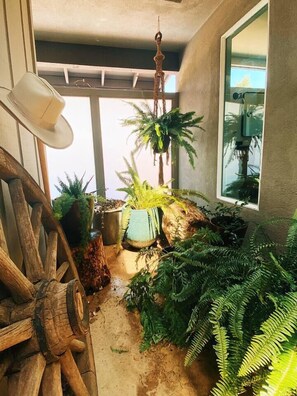 Área da propriedade