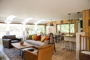 Smart TV, fireplace, books, music library