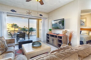 Televisión, reproductor de DVD y libros 