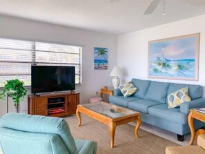 Smart TV, DVD player, books