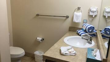 Hair dryer, towels, soap, toilet paper