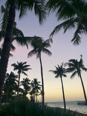 Beach nearby, beach towels - NEW LISTING Old Town Private Pool in Garden Of Eden tropical spa-like  Oasis (Key West)