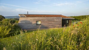Una casa moderna con techo inclinado, una ventana pequeña y una chimenea.