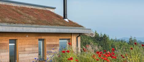 A modern house with a green roof, wooden exterior, and large windows.