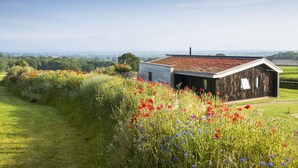 A modern house with a sloped roof, surrounded by a lush garden with various wildflowers. - Dorset Eco Retreats - Ansty, Dorchester (Ansty, Dorchester)